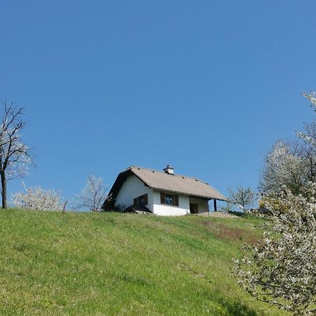 Apartma Pusa Pesnica pri Mariboru 外观 照片