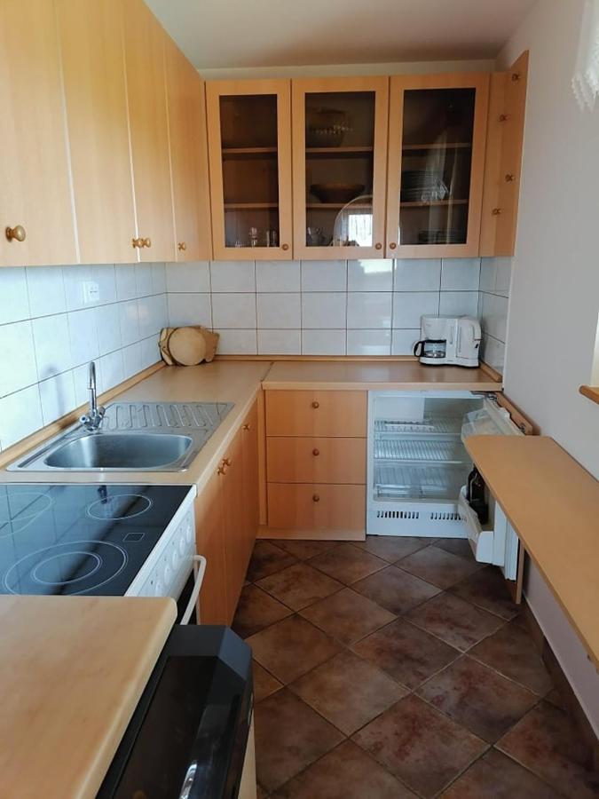 Apartma Pusa Pesnica pri Mariboru 外观 照片