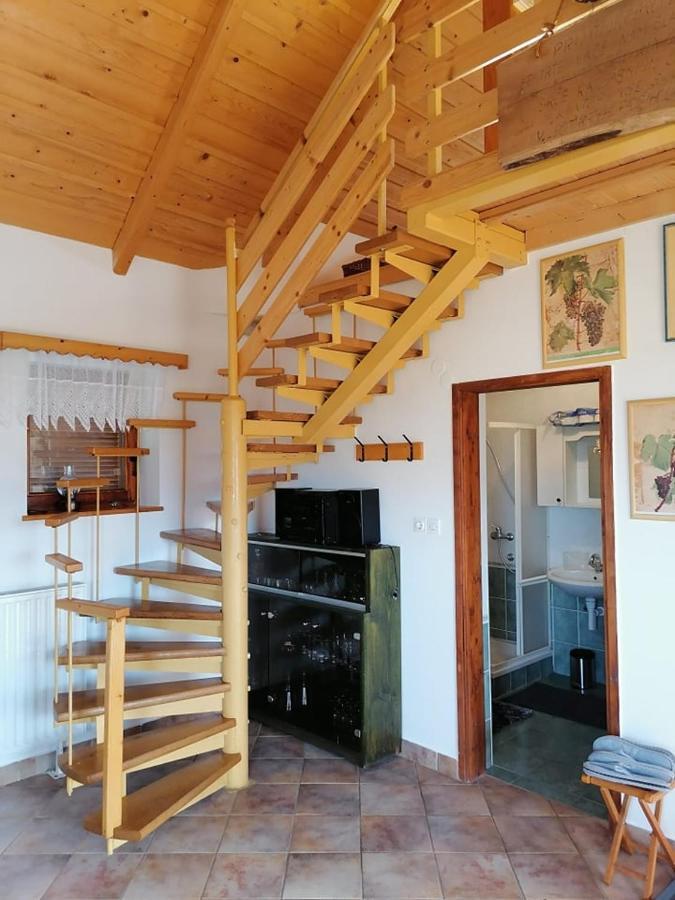 Apartma Pusa Pesnica pri Mariboru 外观 照片