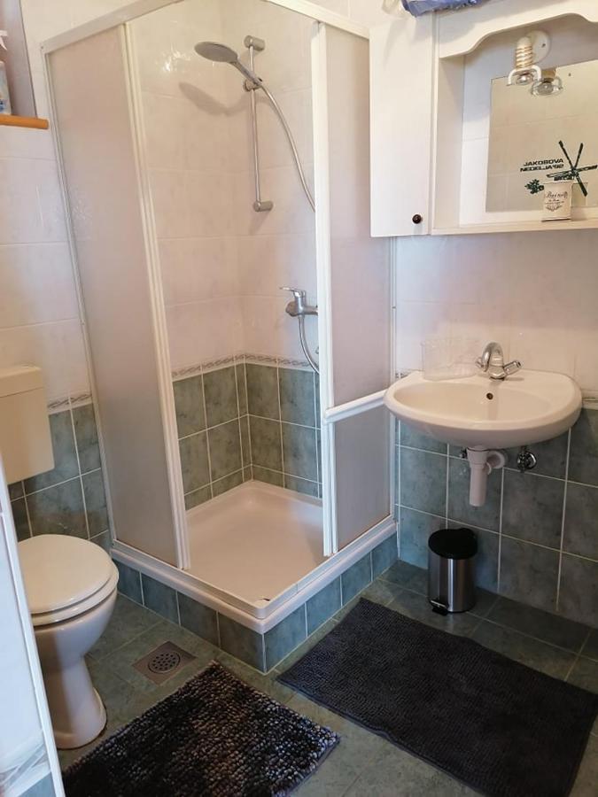 Apartma Pusa Pesnica pri Mariboru 外观 照片
