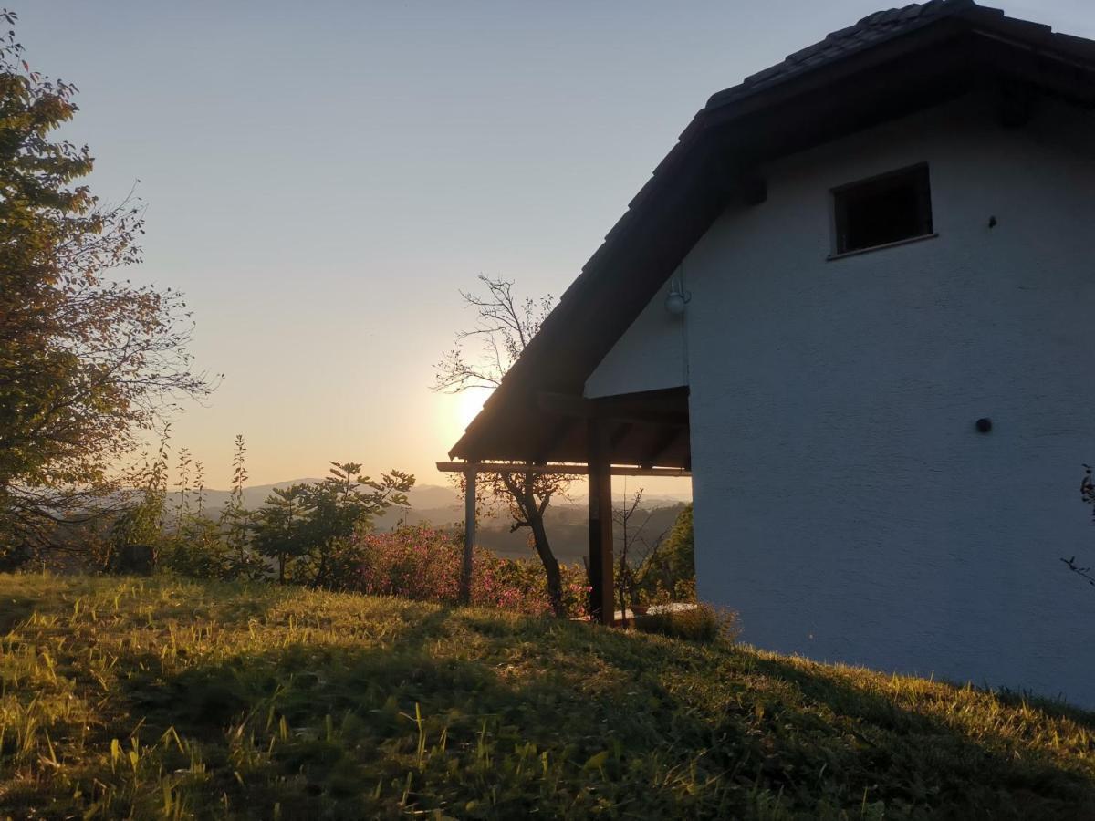 Apartma Pusa Pesnica pri Mariboru 外观 照片