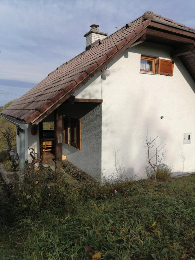 Apartma Pusa Pesnica pri Mariboru 外观 照片