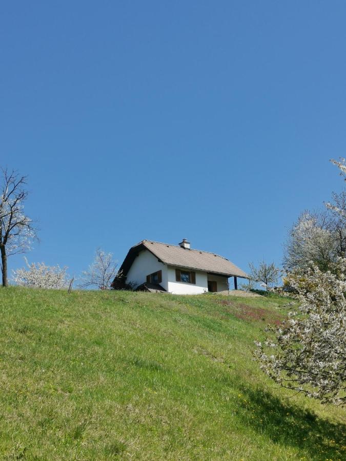 Apartma Pusa Pesnica pri Mariboru 外观 照片